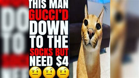 gucci down to the socks like a|gucci socks meme.